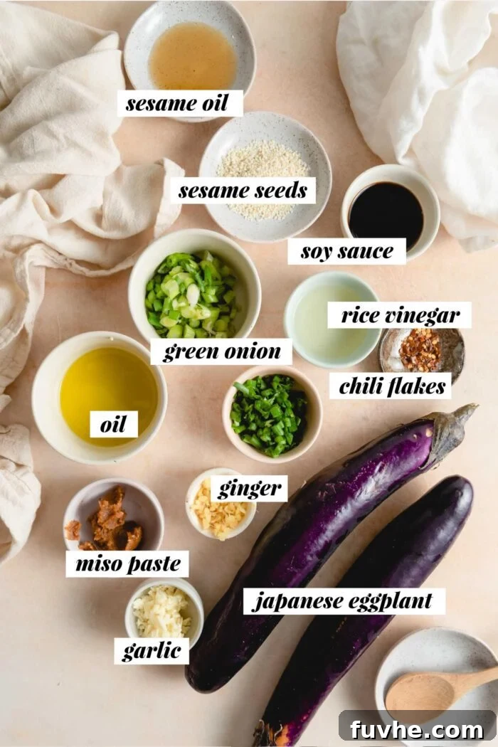 All the fresh ingredients needed for a vegan Japanese eggplant stir fry recipe laid out on a table.
