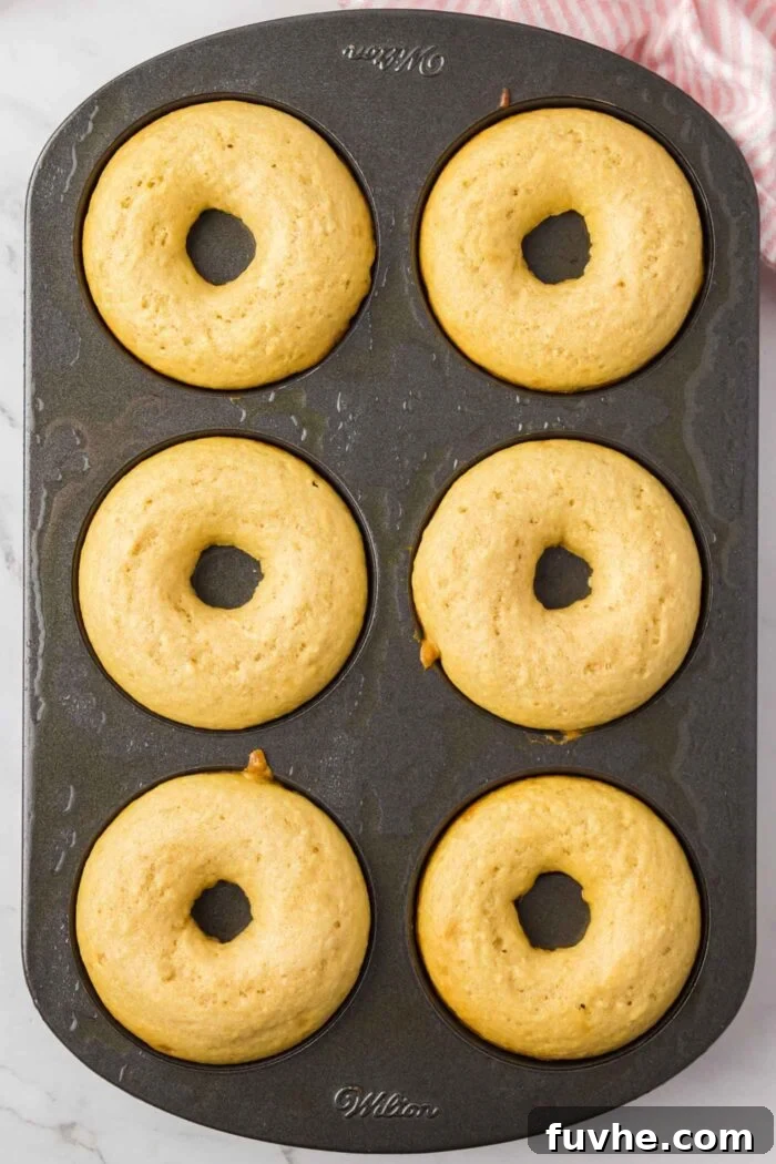Baked donuts in a 6 piece donut pan.