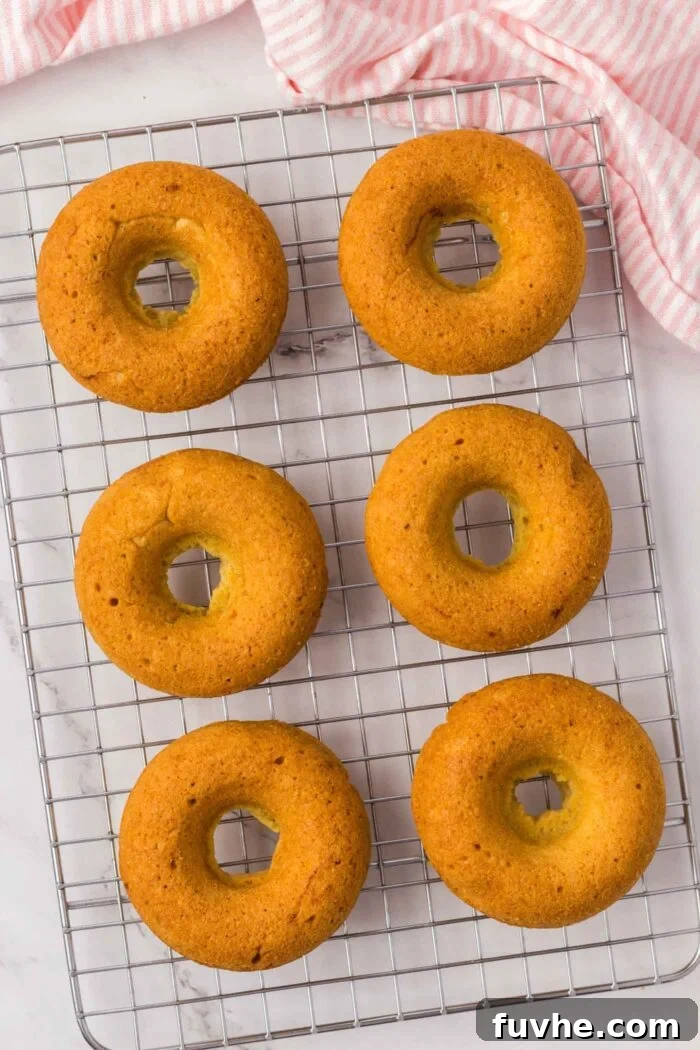 6 donuts cooling on a baking rack.