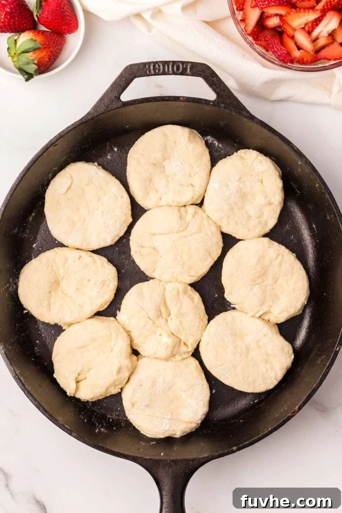 Heavenly Vegan Strawberry Shortcake 12 Raw, round biscuit dough pieces carefully arranged close together in a cast iron skillet, ready for baking.