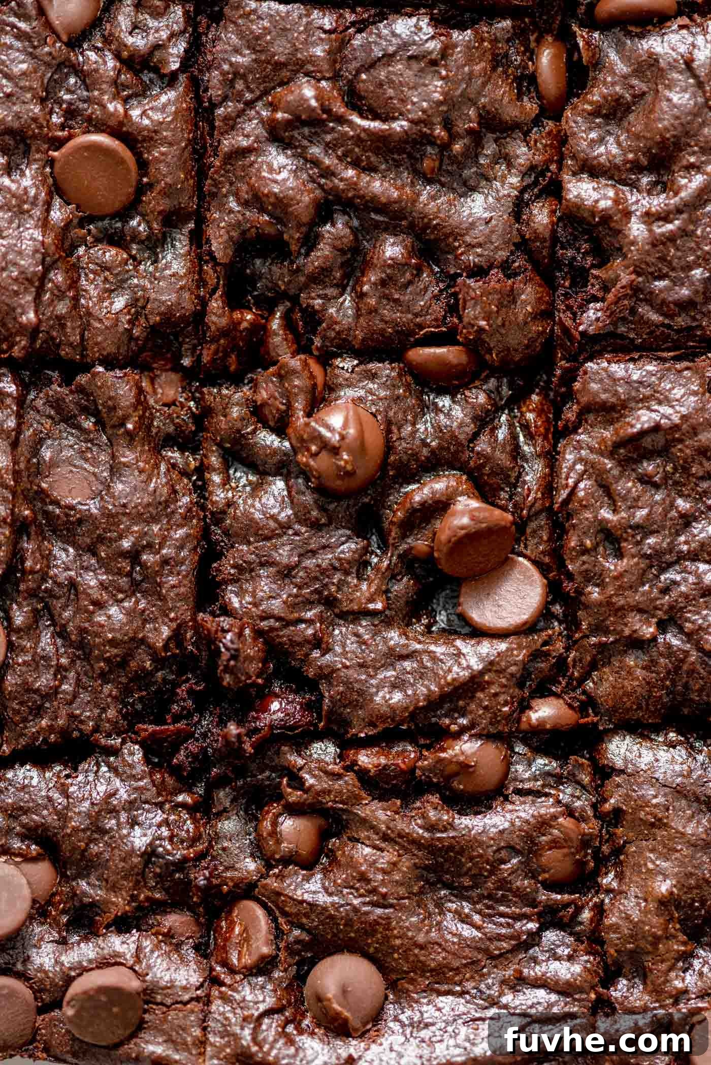 Decadent Vegan Avocado Brownies 2 Gooey chocolate brownies with chocolate chips in them.