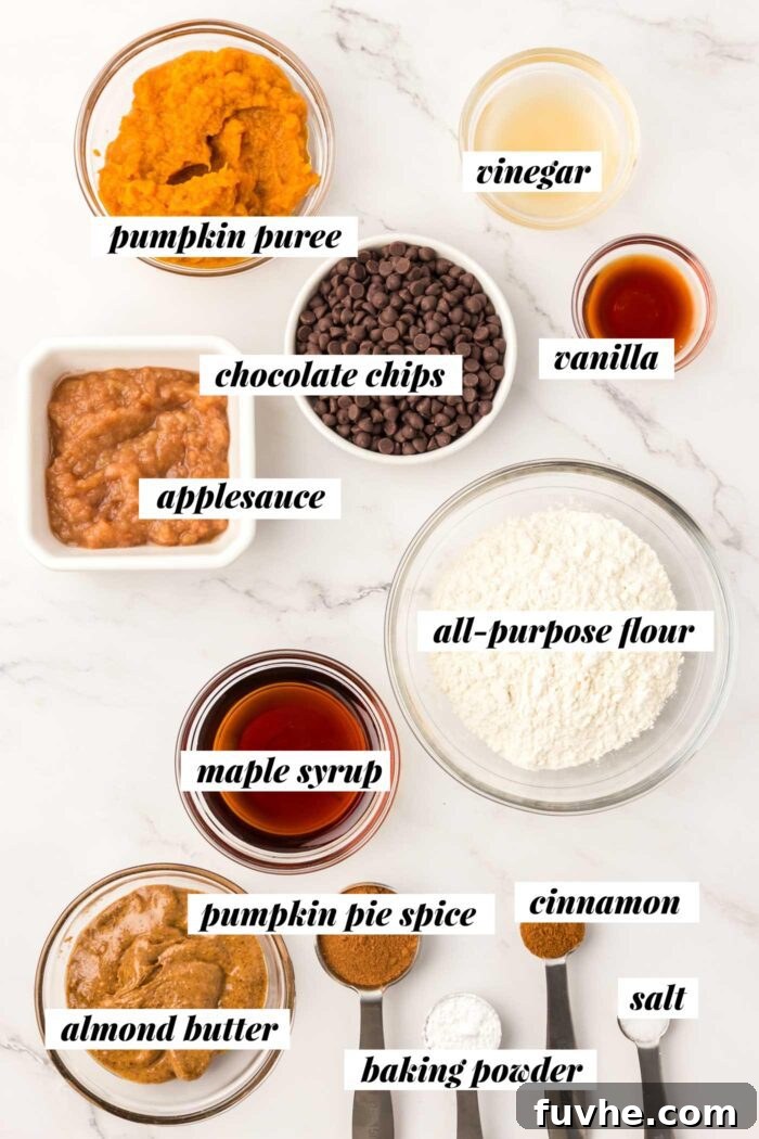 Spiced Vegan Pumpkin Chocolate Chip Bars 3 All of the ingredients laid out for making healthy vegan pumpkin chocolate chip bars.