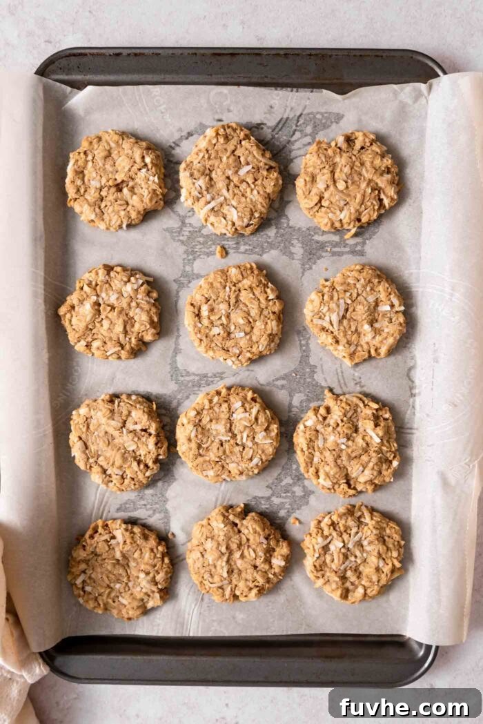 A baking sheet filled with 12 freshly baked vegan coconut oatmeal cookies, perfectly golden-brown at the edges and ready to cool, showcasing their inviting texture.