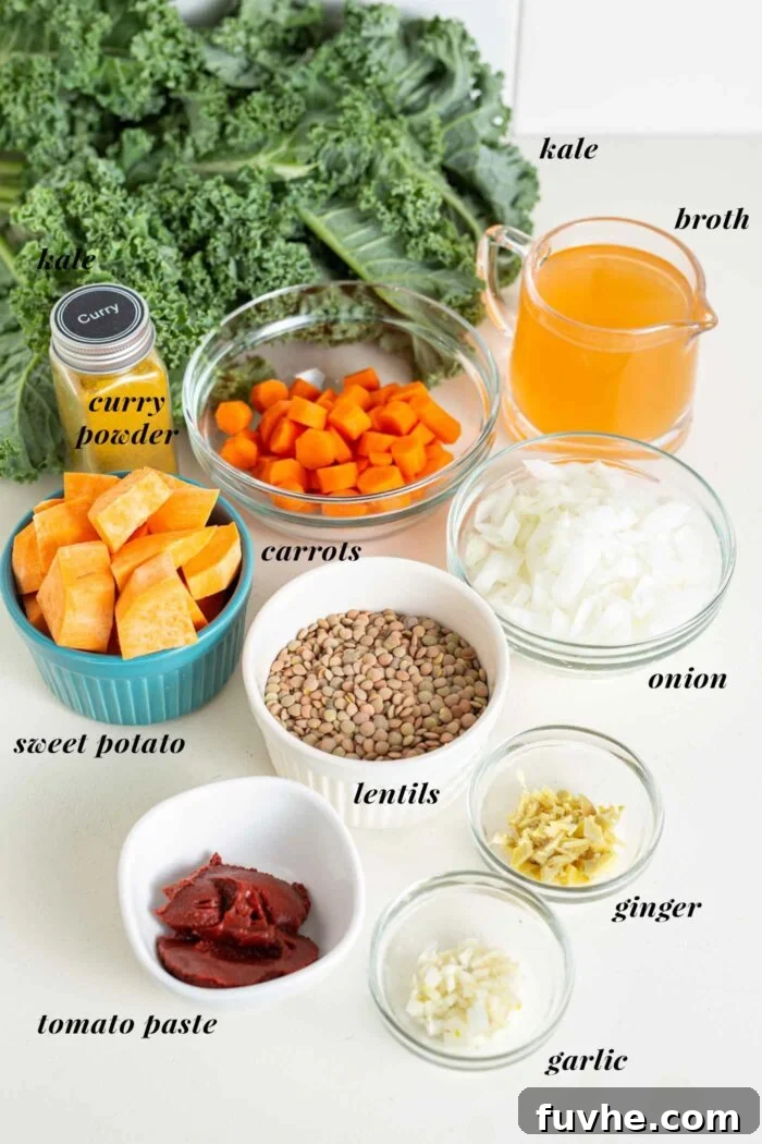 Lentils, garlic, ginger, broth, sweet potato and carrot in bowls on a counter.