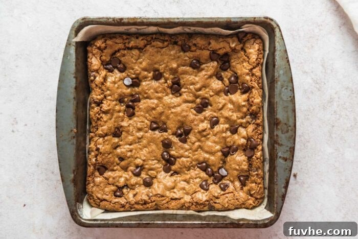 Wholesome Vegan Oatmeal Bars 8 Overhead view of a pan of chocolate chip oatmeal cookie bars.