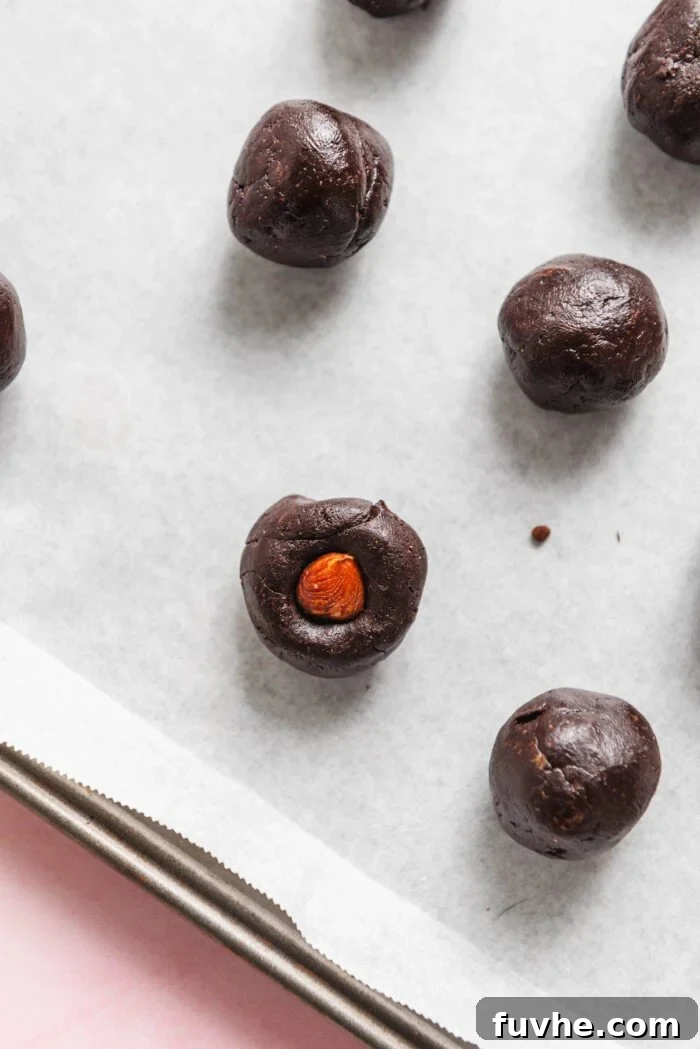 Fudge balls on a baking tray. One of them has a hazelnut pressed into the middle of it.