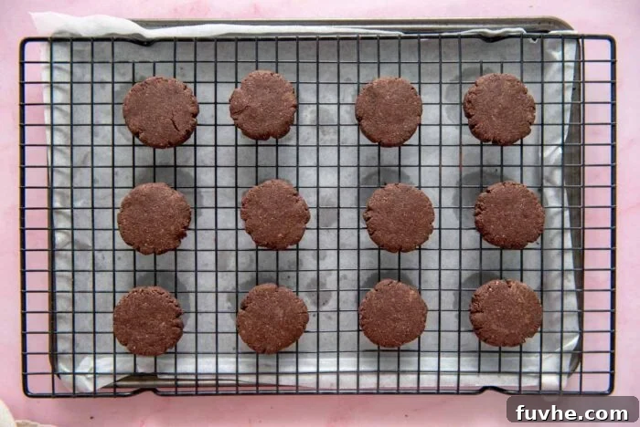 12 small round chocolate cookies on a cooling rack, freshly baked and ready for the next step of chocolate coating.