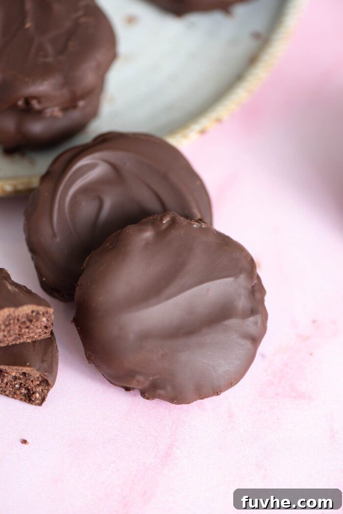 Two homemade Thin Mint cookies leaning against the edge of a plate with more cookies on it, showcasing their delicious finished appearance.