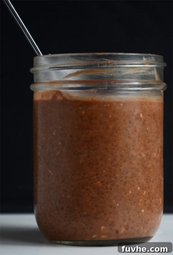 Dreamy Chocolate Chia Oats 2 Chocolate Chia Seed Oatmeal with Cashew Butter - Vegan, Gluten-Free