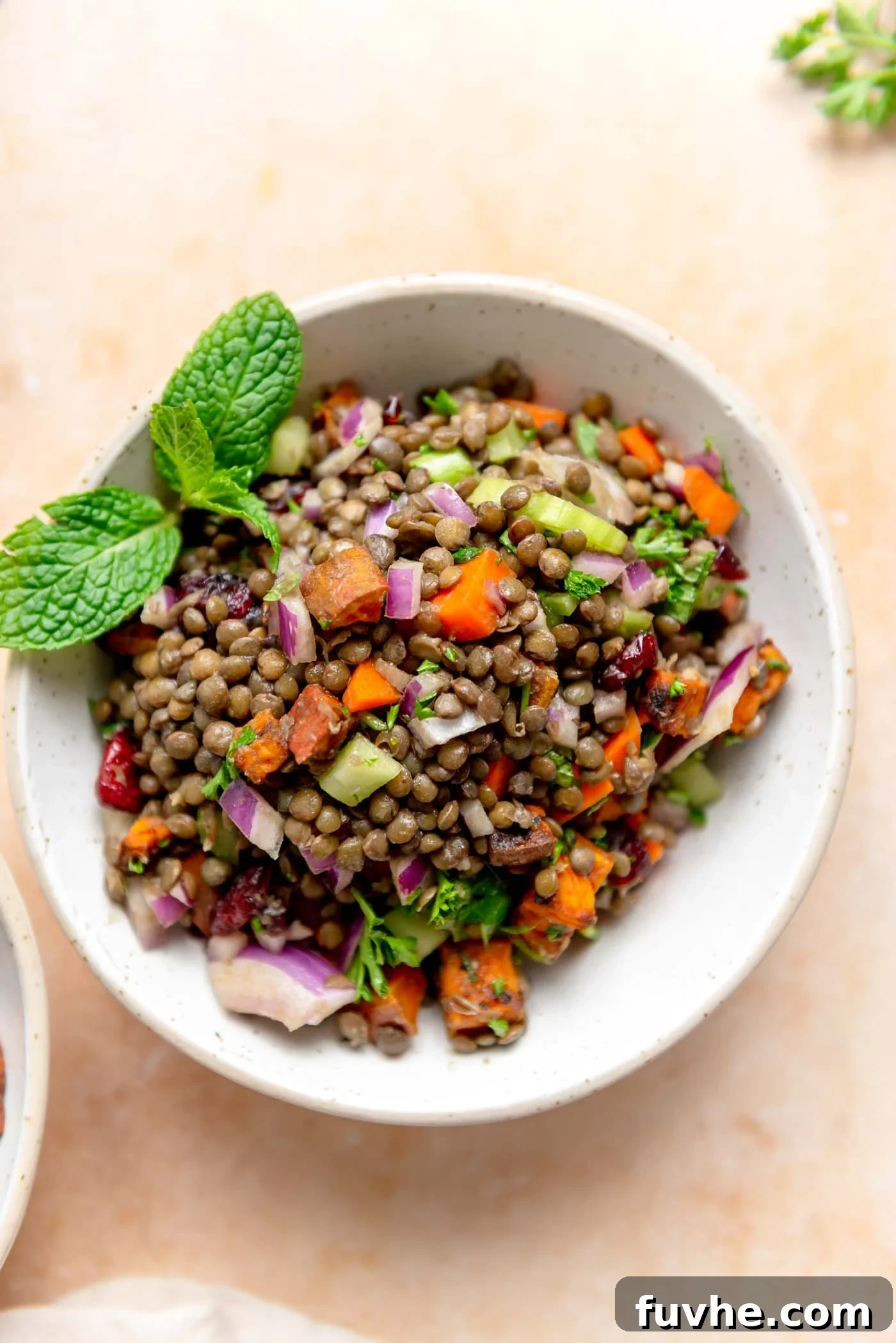 A vibrant French lentil salad featuring fresh herbs, tender sweet potato, and finely diced vegetables, beautifully arranged in a bowl and garnished with delicate fresh mint leaves, showcasing its fresh and wholesome appeal.