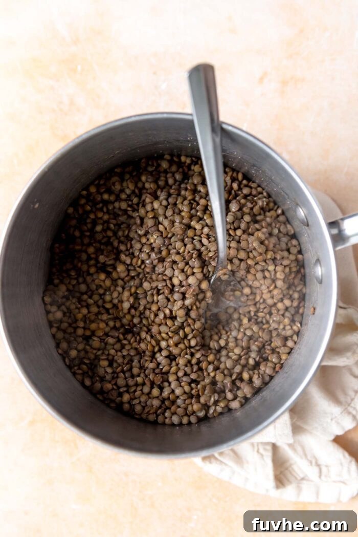 Perfectly cooked French lentils, tender yet still holding their shape, resting in a pot with a spoon, ready to be incorporated into the salad.