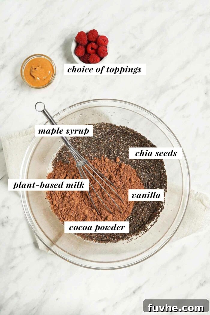 A glass bowl containing chia seeds, cocoa powder, and a carton of plant-based milk, highlighting the simple ingredients for the pudding.
