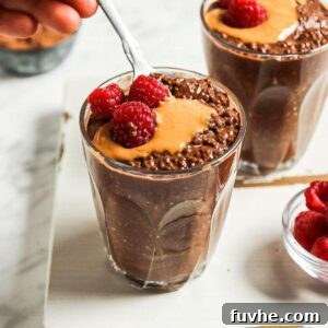 A bowl of chocolate chia seed pudding topped with peanut butter and fresh raspberries, ready to be enjoyed.