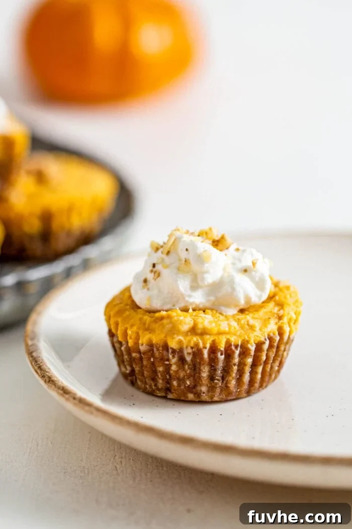 A charming mini pumpkin pie tart, elegantly presented on a plate and crowned with a swirl of fluffy whipped cream, ready to be enjoyed.