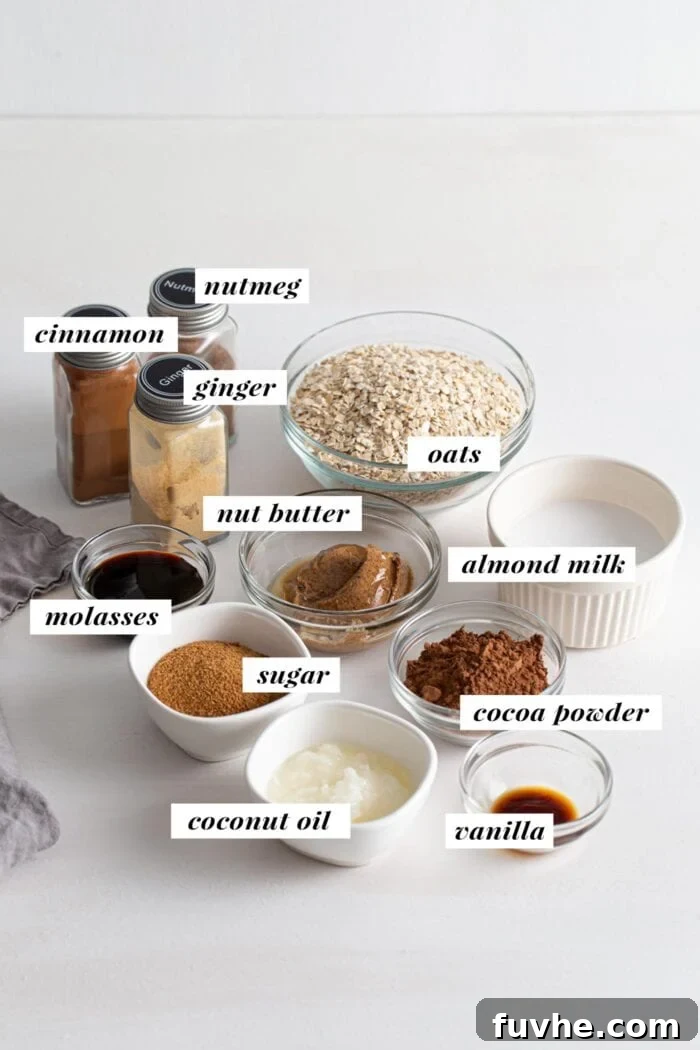 A vibrant visual representation of all the simple, wholesome ingredients required for making a batch of no-bake chocolate gingerbread cookies.