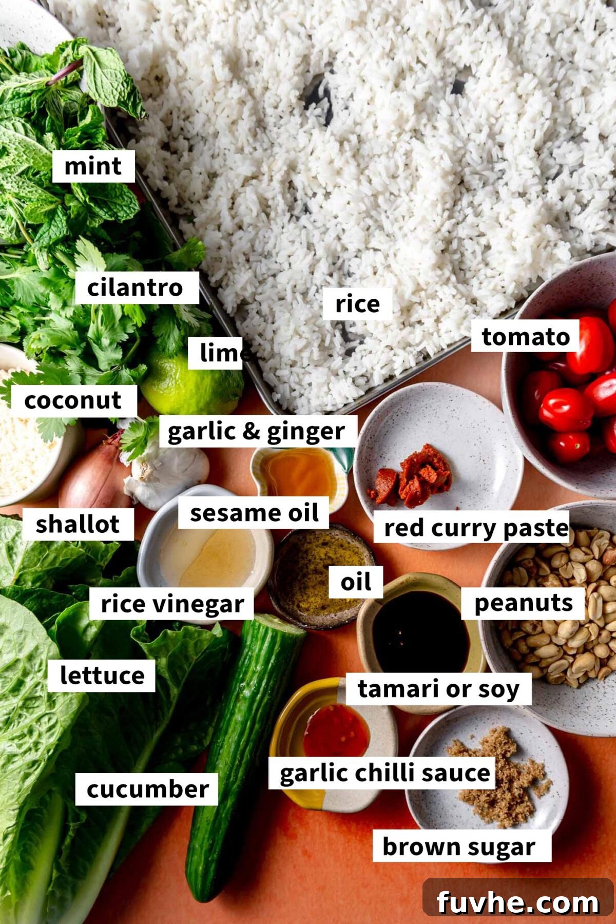 A collection of fresh ingredients laid out, including rice, red curry paste, various oils and sauces, fresh herbs, lettuce, cucumber, and tomatoes, all ready for making a crispy rice salad.