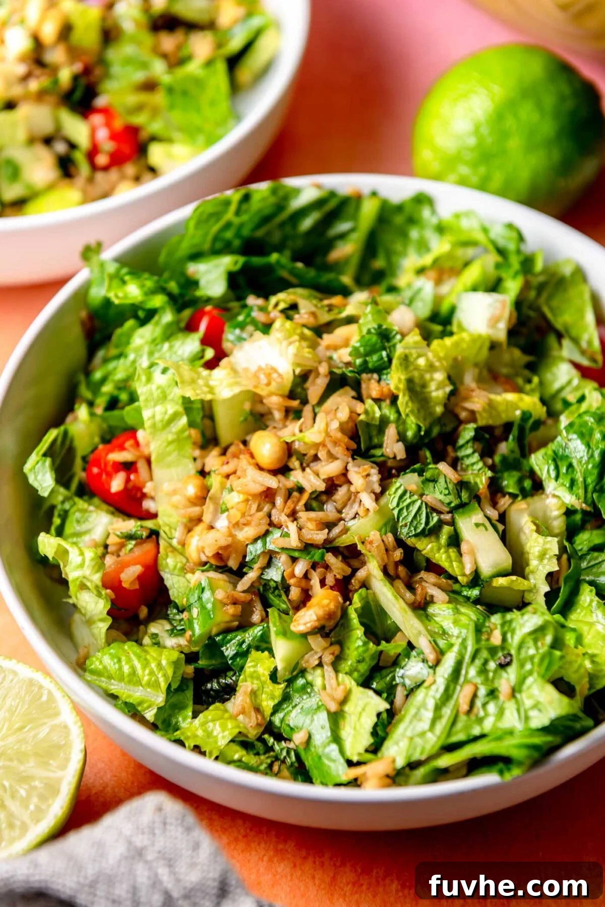 A beautifully presented Crispy Rice Salad in a bowl, featuring vibrant lettuce, crunchy peanuts, red tomatoes, green cucumber, and fresh herbs, with a bright lime wedge beside it, ready to be enjoyed.