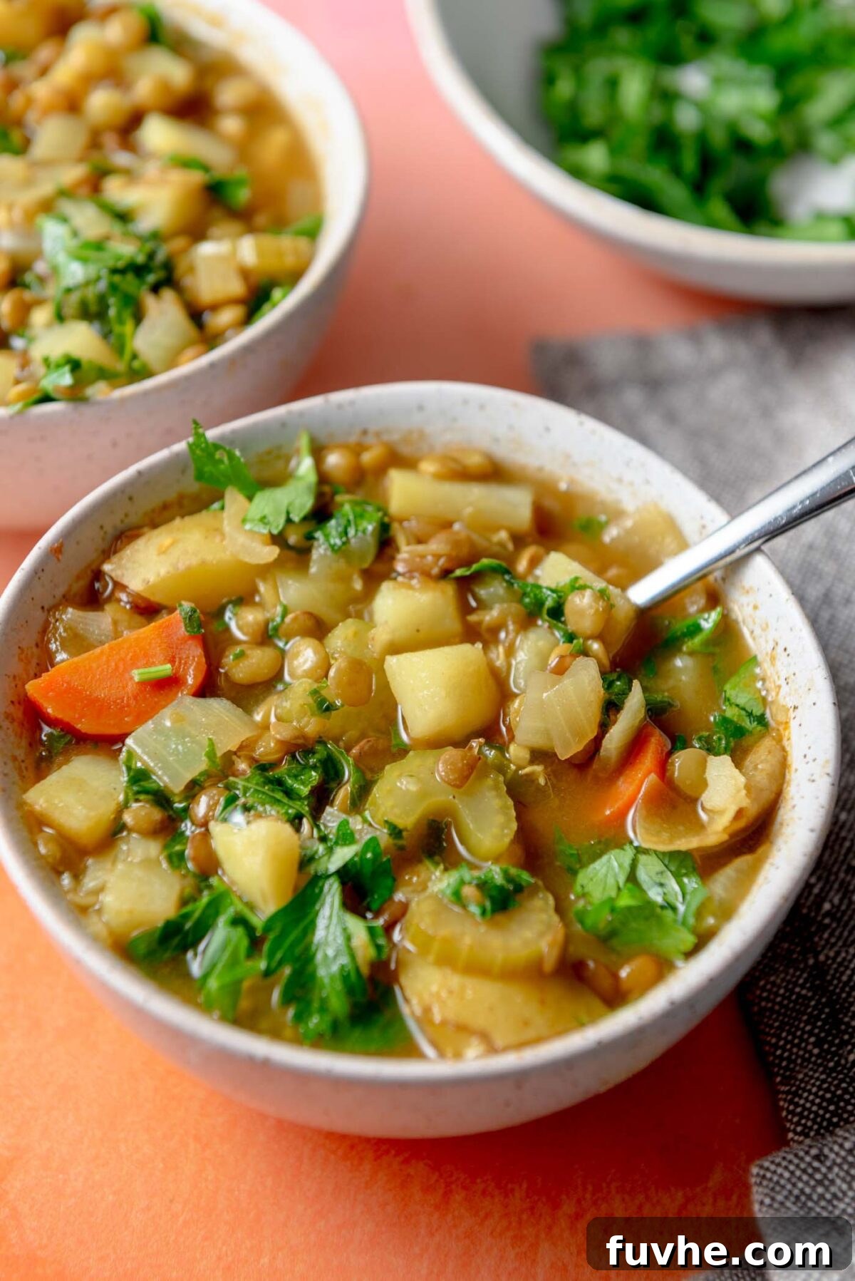 Hearty Lentil Potato Soup 9 Bowl of a hearty soup with potatoes, carrots, lentils and kale.