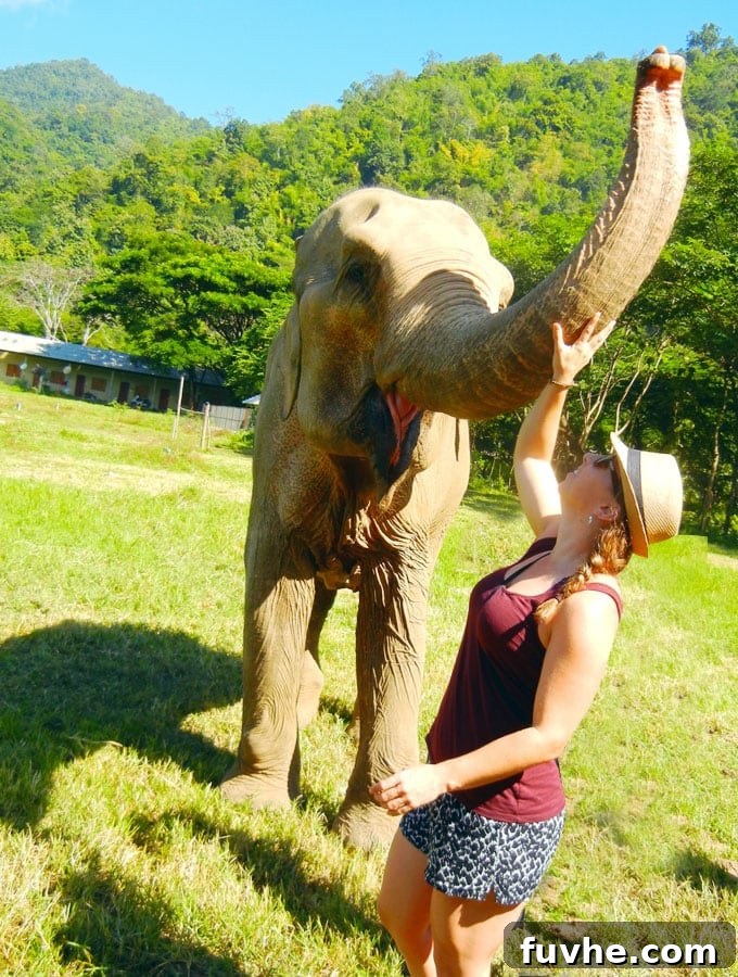 Observing Elephants in Their Natural Habitat at ENP