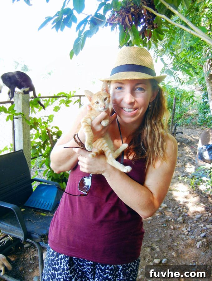 Adorable Cats Finding a Home at Elephant Nature Park