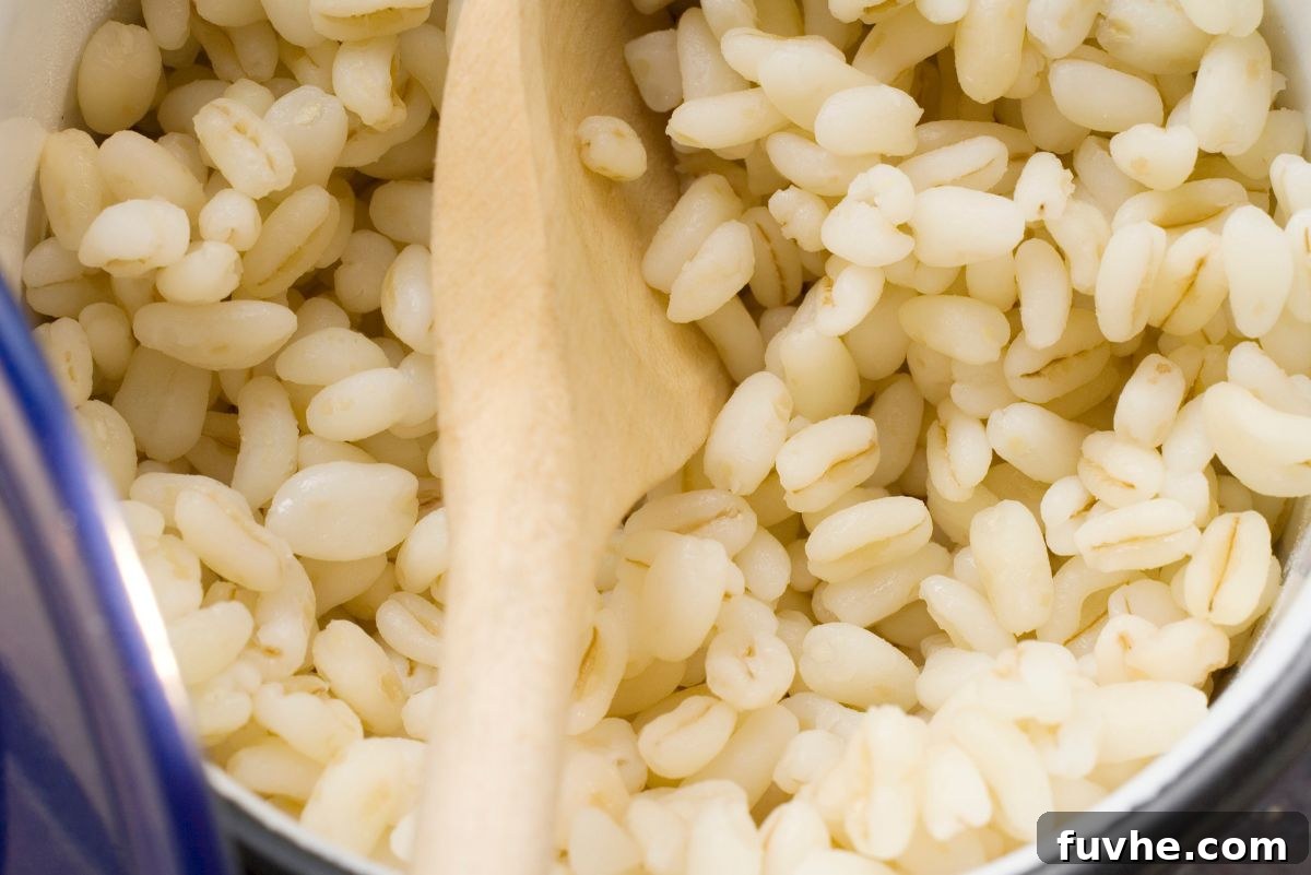 A pot filled with fluffy, cooked barley, stirred with a wooden spoon, ready to be cooled and added to the salad.