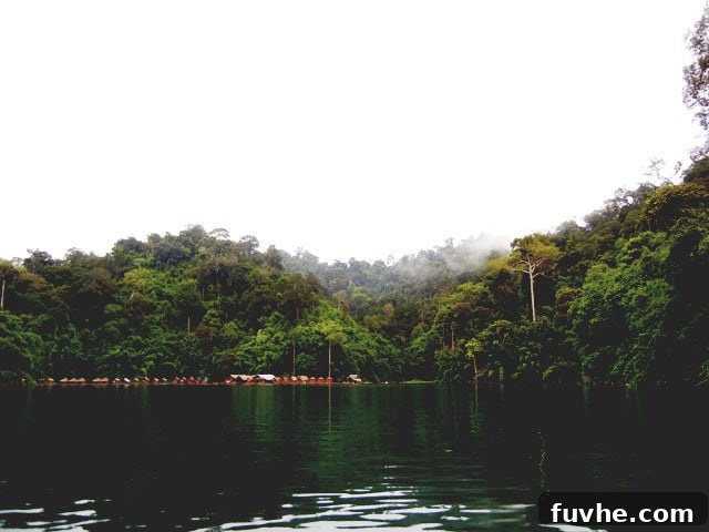 Chiew Lan Lake floating bungalows nestled in the verdant landscape of Khao Sok National Park