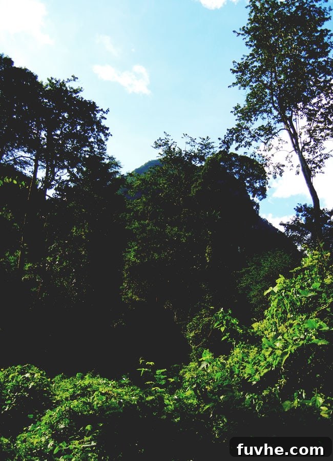 Stunning emerald waters and towering cliffs of Chiew Lan Lake