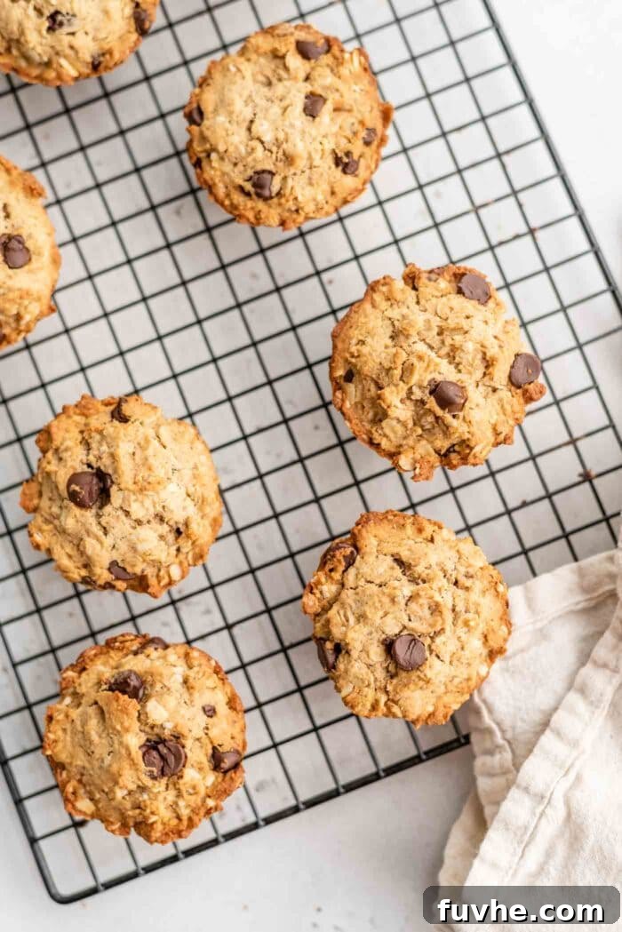 Plant-Powered Protein Muffins 7 Six freshly baked vegan chocolate chip protein muffins cooling on a wire rack, golden brown and perfectly risen.