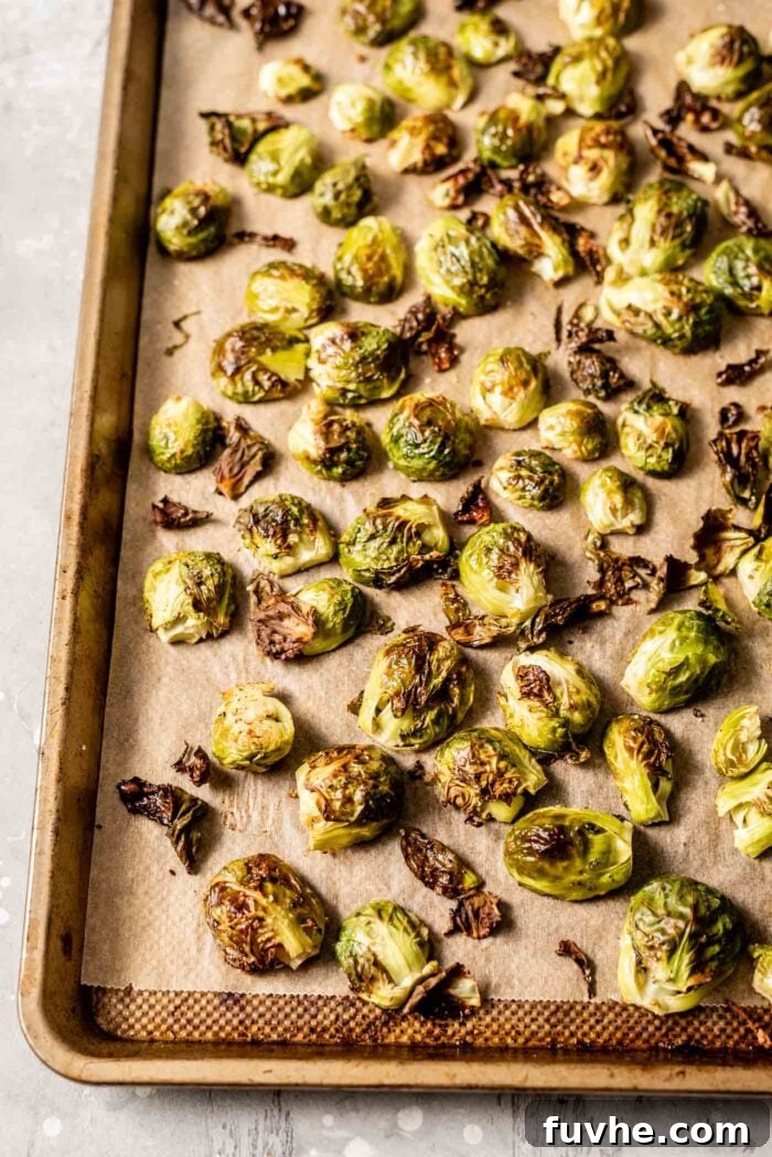 Caramelized Maple Dijon Brussels Sprouts 5 Partially roasted Brussels sprouts on a parchment-lined baking tray, starting to brown.