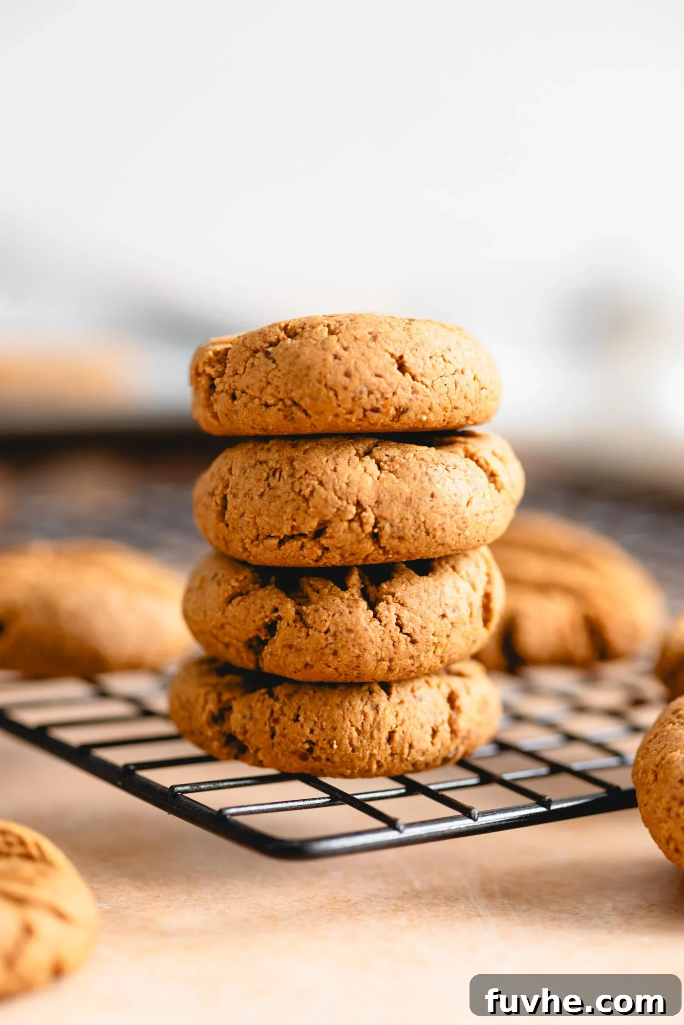 Scrumptious Peanut Powder Cookies 2 Stack of 4 golden-brown peanut butter powder cookies with fork marks on a wire baking rack, showcasing their inviting texture.