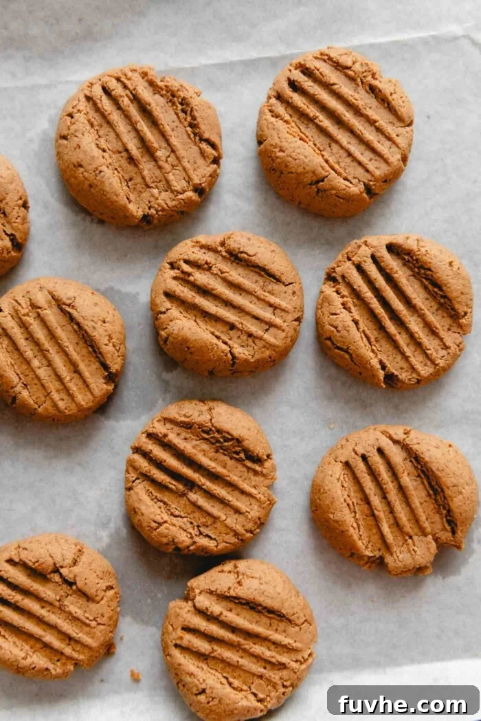 Scrumptious Peanut Powder Cookies 8 Freshly baked peanut butter powder cookies, complete with visible cross-marks, are shown cooling on a baking sheet, indicating readiness for enjoyment.