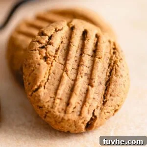 A delicious vegan and gluten-free peanut butter powder cookie with distinct fork marks on top, ready to be enjoyed.