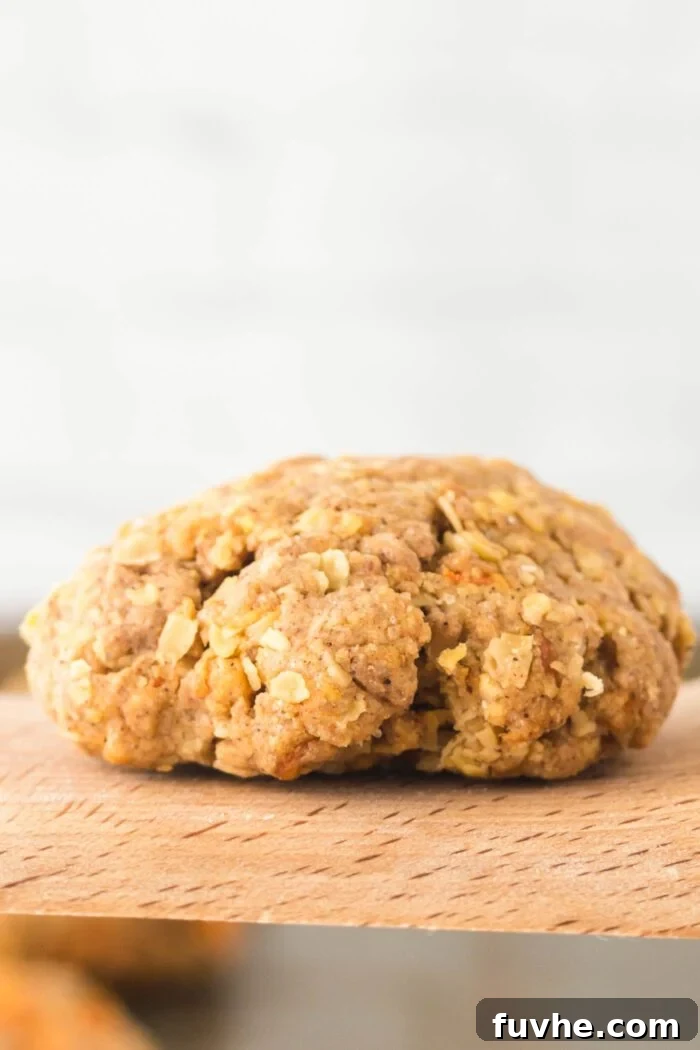 Carrot Cake Oatmeal Cookies 7 A perfectly baked carrot oatmeal cookie resting on a wooden spatula, showing its soft interior and golden exterior.