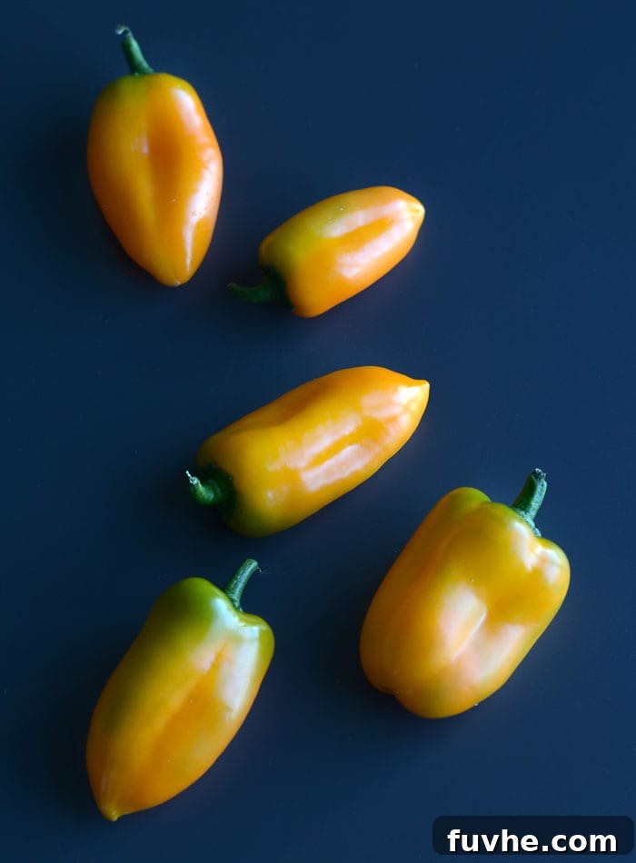 Mastering Macros: 23 Vegan Meals and Snacks 14 Hummus stuffed baby bell peppers, a quick, healthy, and macro-friendly vegan snack.