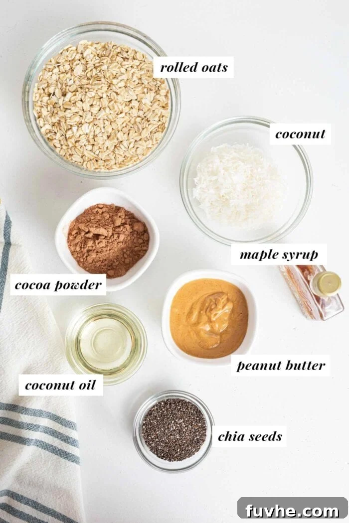 A colorful arrangement of key ingredients: oats, shredded coconut, chia seeds, cocoa powder, and creamy peanut butter, each in its own small bowl.