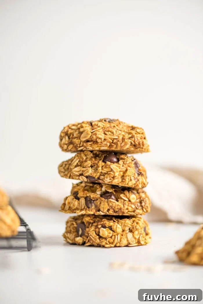 A stack of chocolate chip pumpkin oat cookies, highlighting their appealing texture and healthy nature.