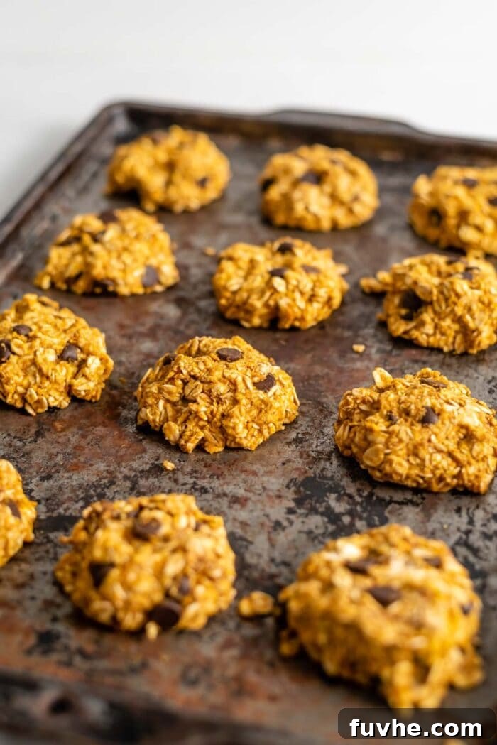 Unbaked chocolate chip pumpkin oat cookies neatly arranged on a baking tray lined with parchment paper, ready for the oven.