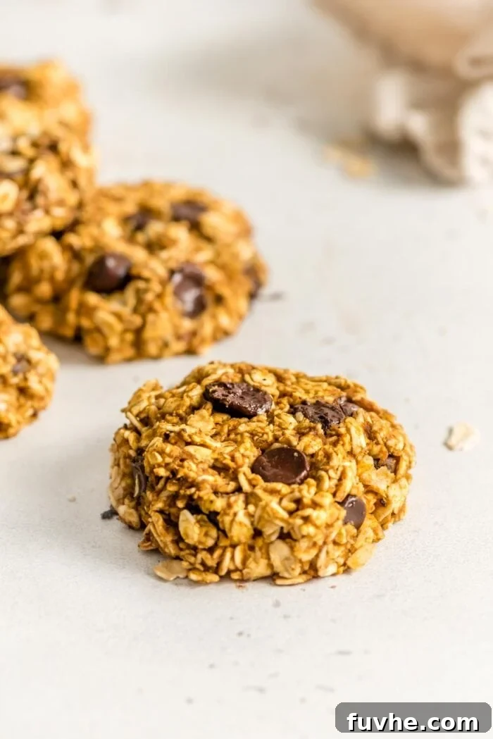 Close-up of a single healthy pumpkin chocolate chip oat cookie, showcasing its textured surface and delicious inclusions.