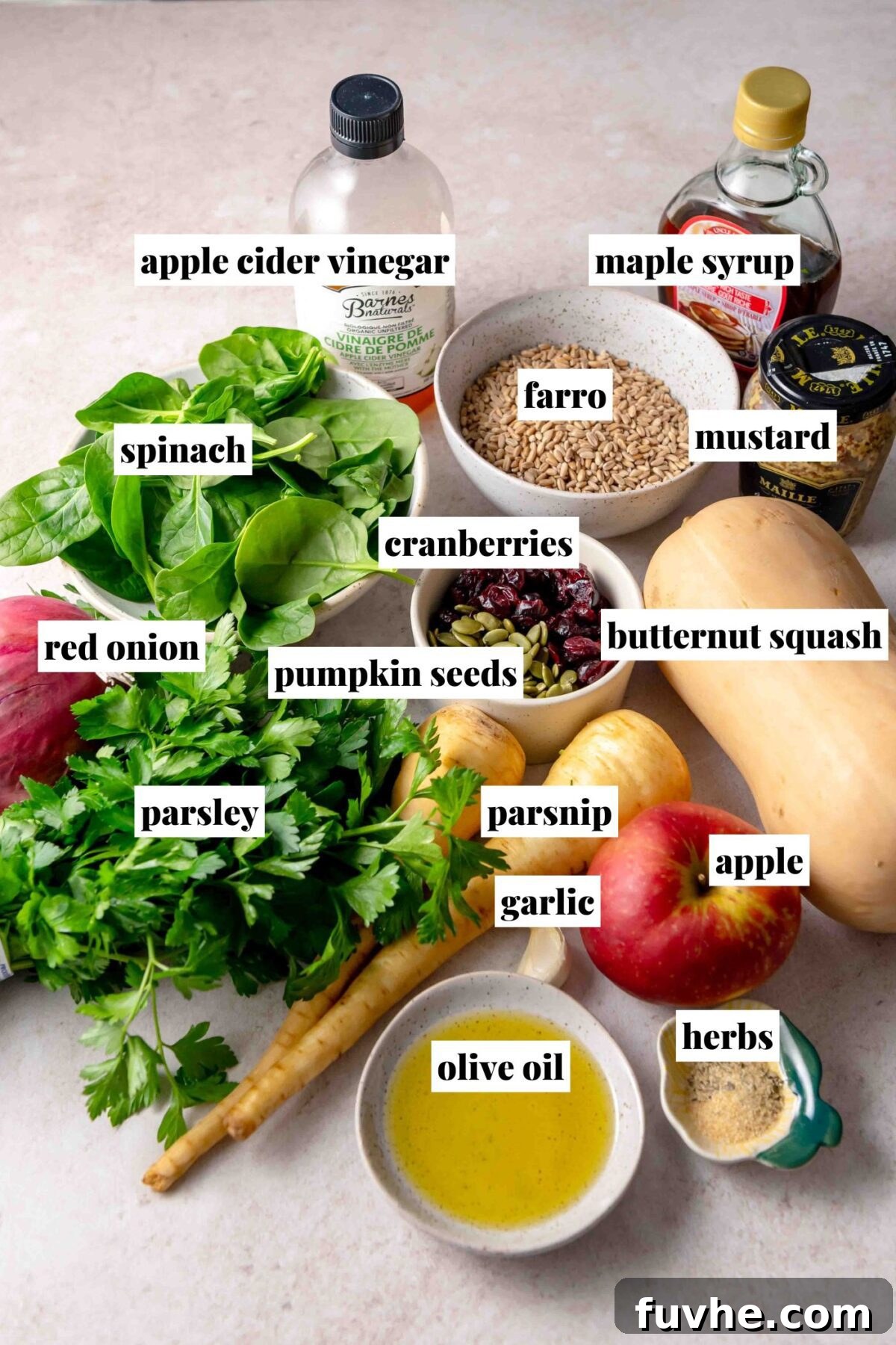 Ingredients for warm farro salad laid out on a countertop, including butternut squash, apple, parsnip, red onion, spinach, farro, dried cranberries, pumpkin seeds, parsley, garlic, olive oil, apple cider vinegar, maple syrup, mustard and herbs.