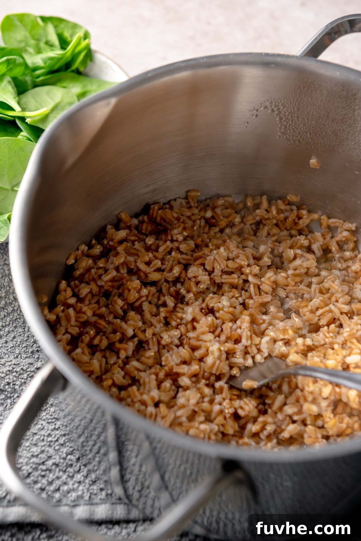 Cooked farro grains in a stainless steel pot with a spoon, ready to be added to a warm salad.