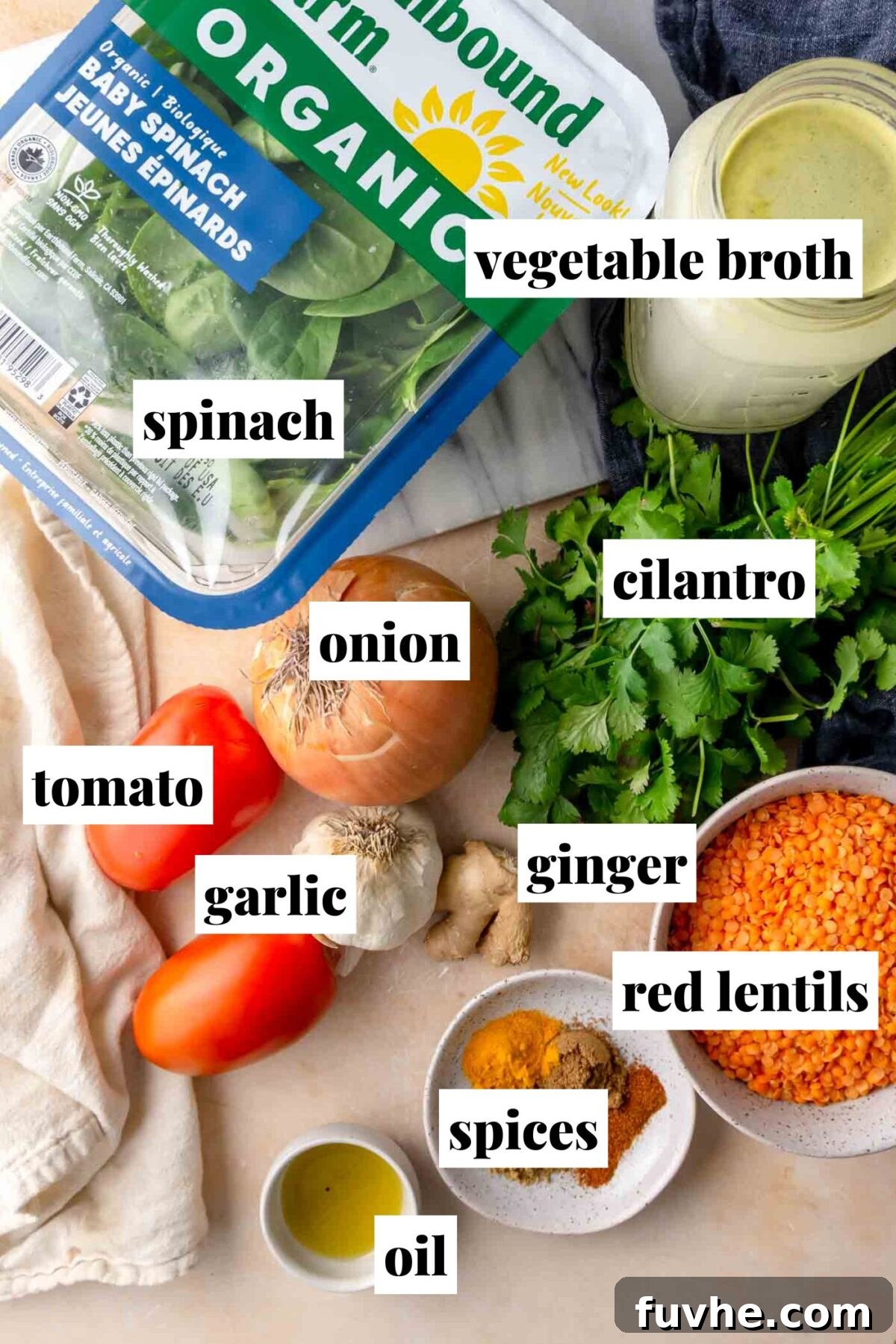 Flat lay of spinach lentil curry ingredients with labelled items: baby spinach, red lentils, onion, tomatoes, garlic, fresh ginger, cilantro, vegetable broth, mixed spices, and oil.