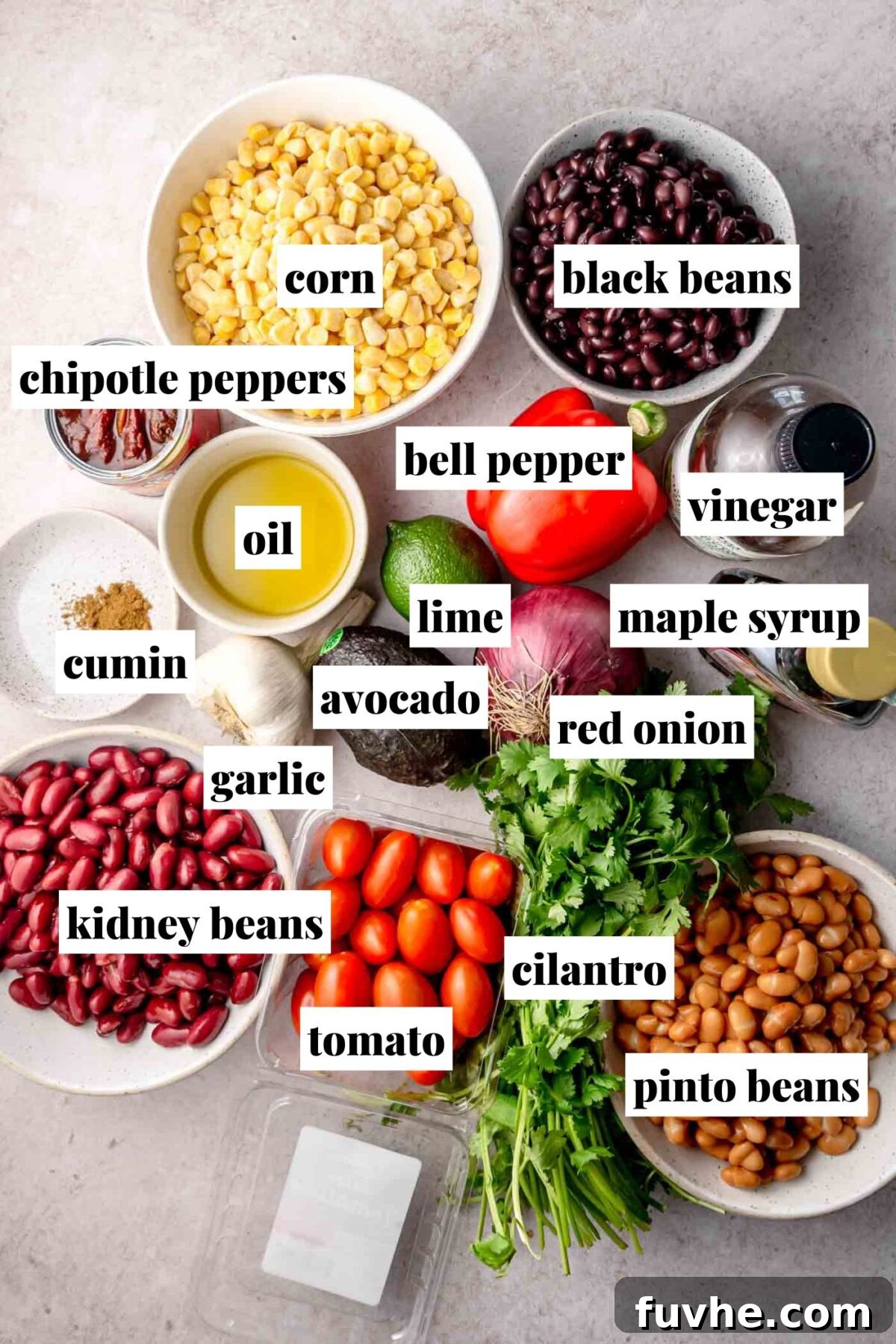 All the fresh ingredients for a Chipotle Dense Bean Salad laid out on a clean surface, each clearly labeled. Components include vibrant corn kernels, black beans, kidney beans, pinto beans, ripe tomatoes, crisp bell pepper, creamy avocado, zesty lime, fresh cilantro, sharp red onion, pungent garlic, smoky chipotle peppers in adobo, tangy apple cider vinegar, rich oil, sweet maple syrup, and earthy cumin.