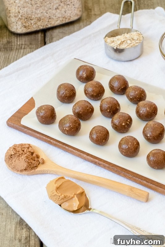 finished chocolate protein balls for kids and adults